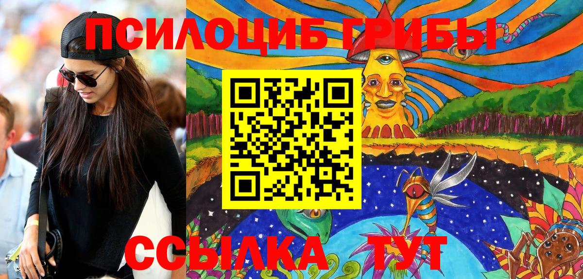 Псилоцибиновые грибы GOLDEN TEACHER  Вход с VPN  как найти закладки  Аргун 